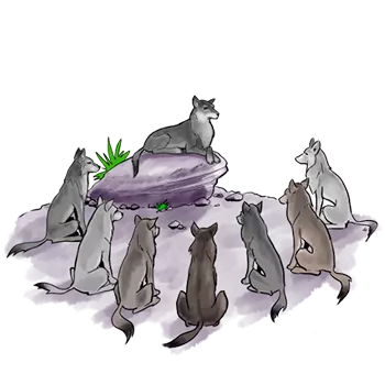 Illustration du rocher du conseil (meute de loups)